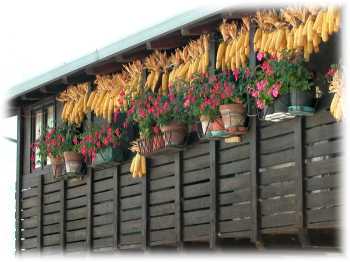 ballatoio con fiori e granoturco