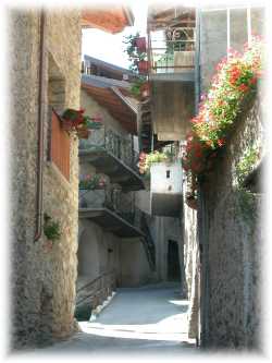 viuzza 