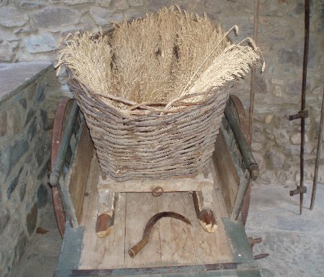 carro con spighe di orzo