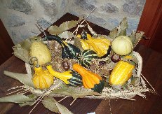 cesto zucchine