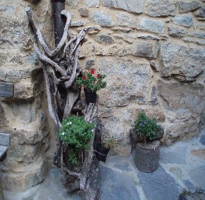 radice con fiori