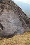 roccia delle rose